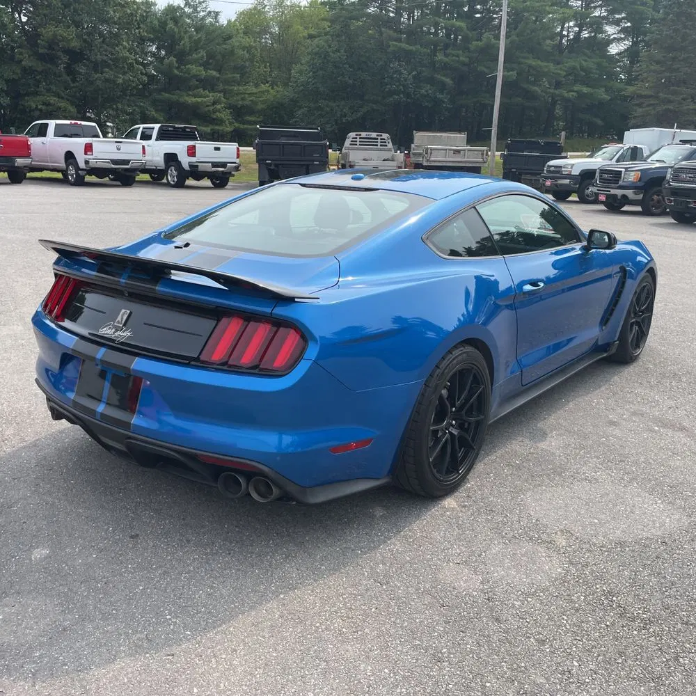 2019 Ford Mustang Shelby GT350