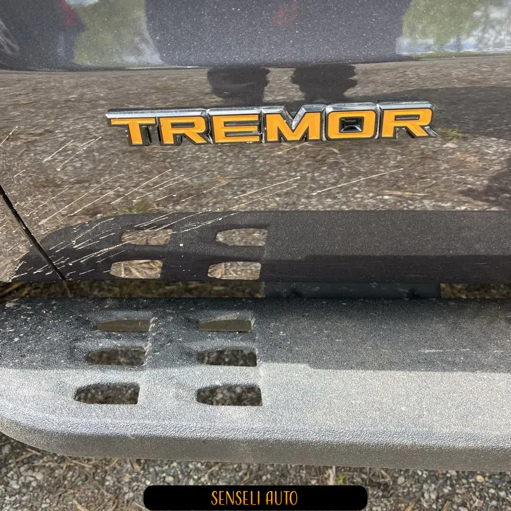 2025 Ford Expedition Tremor
