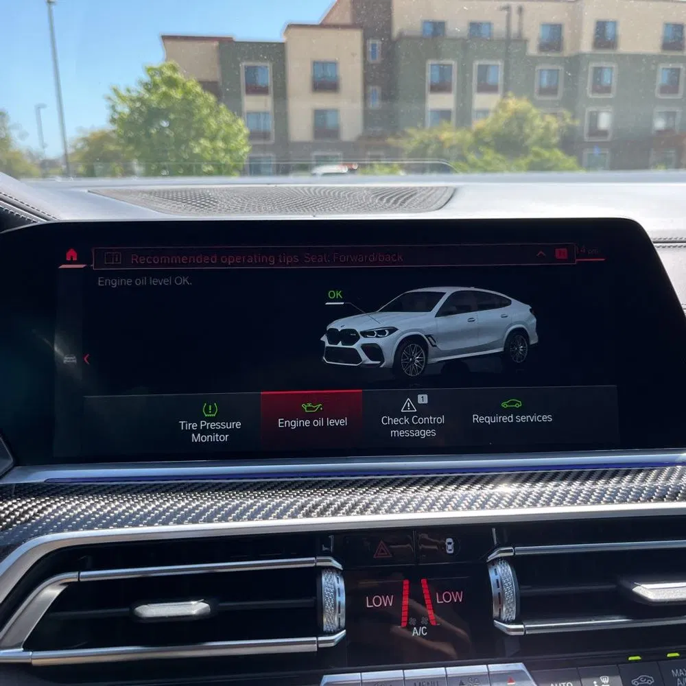 2022 BMW X6 M