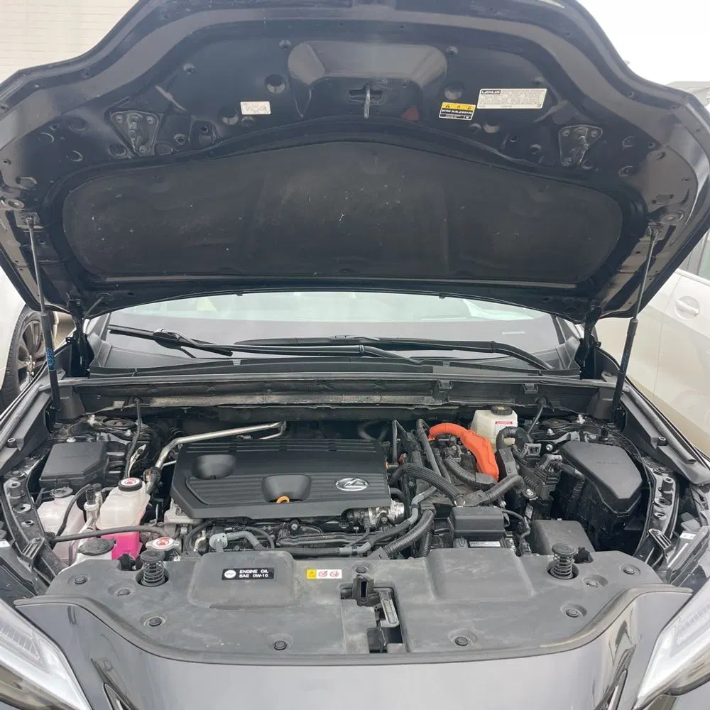 2024 Lexus NX 350h Luxury