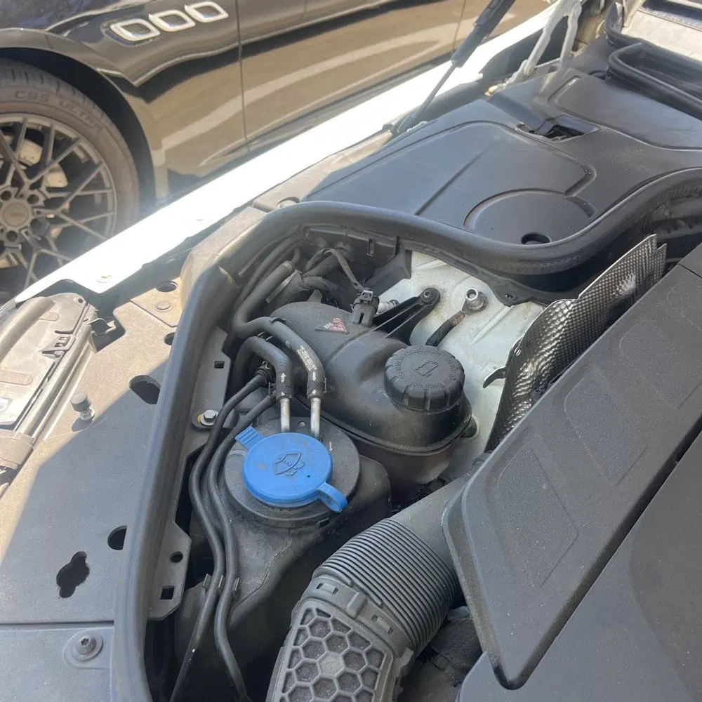 2019 Mercedes-Benz S-Class S 560