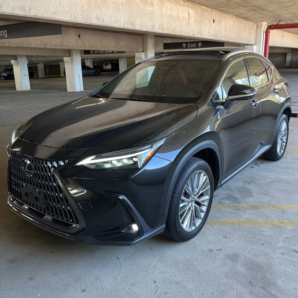 2025 Lexus NX 350 Luxury