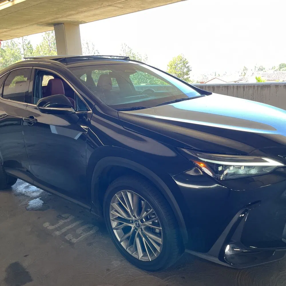 2025 Lexus NX 350 Luxury