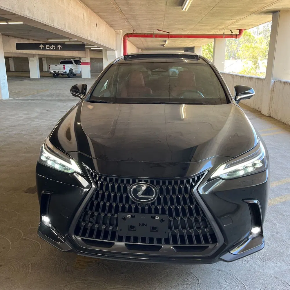 2025 Lexus NX 350 Luxury