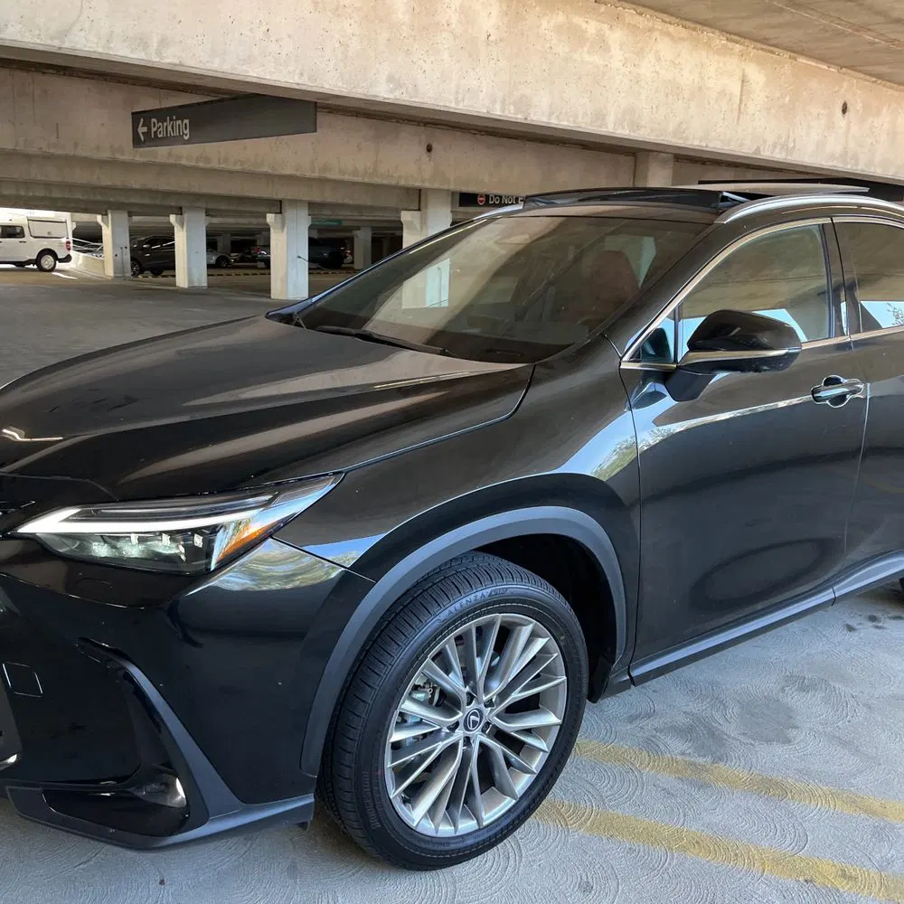 2025 Lexus NX 350 Luxury
