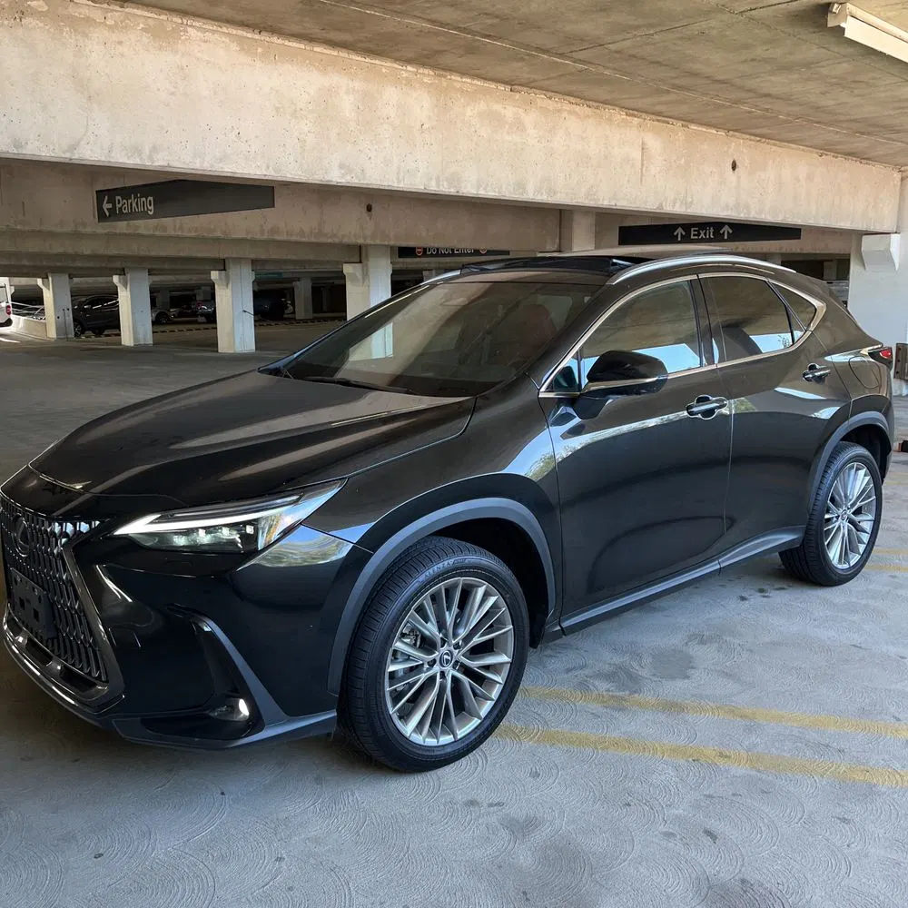 2025 Lexus NX 350 Luxury