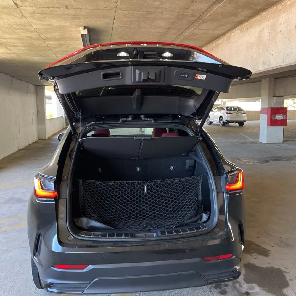 2025 Lexus NX 350 Luxury