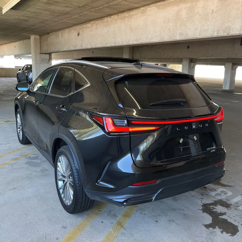 2025 Lexus NX 350 Luxury