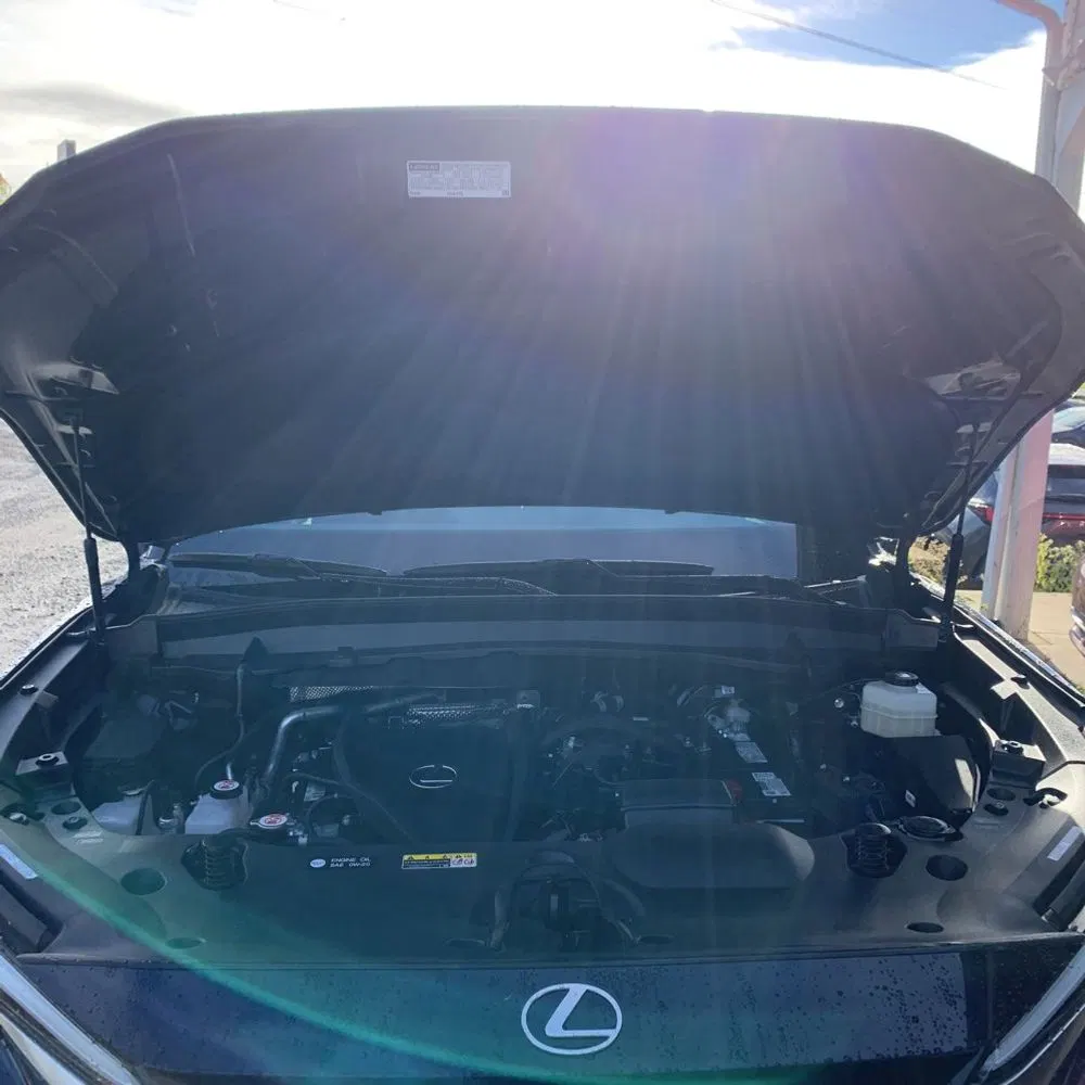 2024 Lexus TX 350 Premium