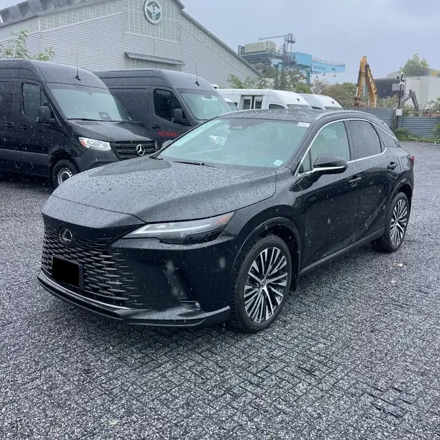 2024 Lexus RX 350h Premium+