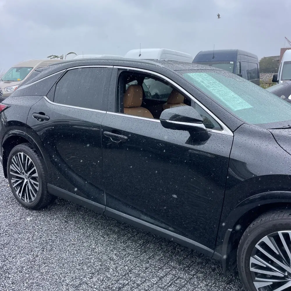 2024 Lexus RX 350h Premium+