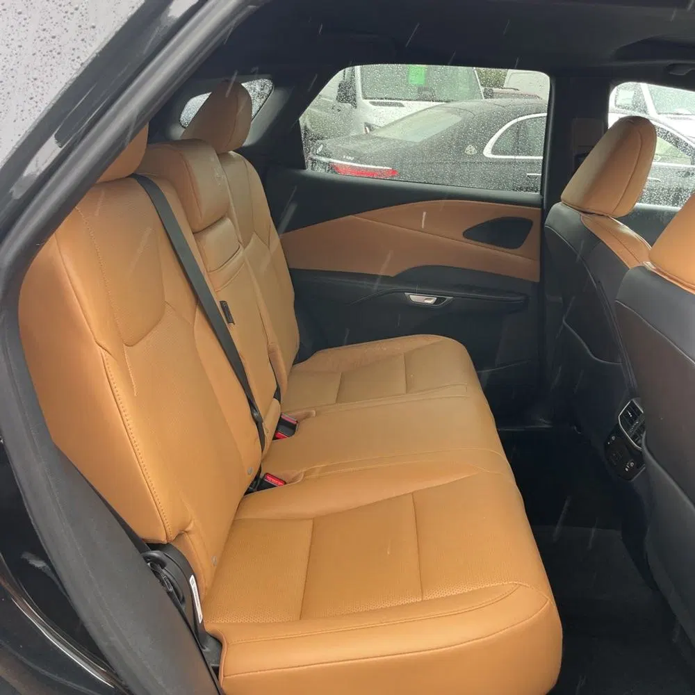 2024 Lexus RX 350h Premium+