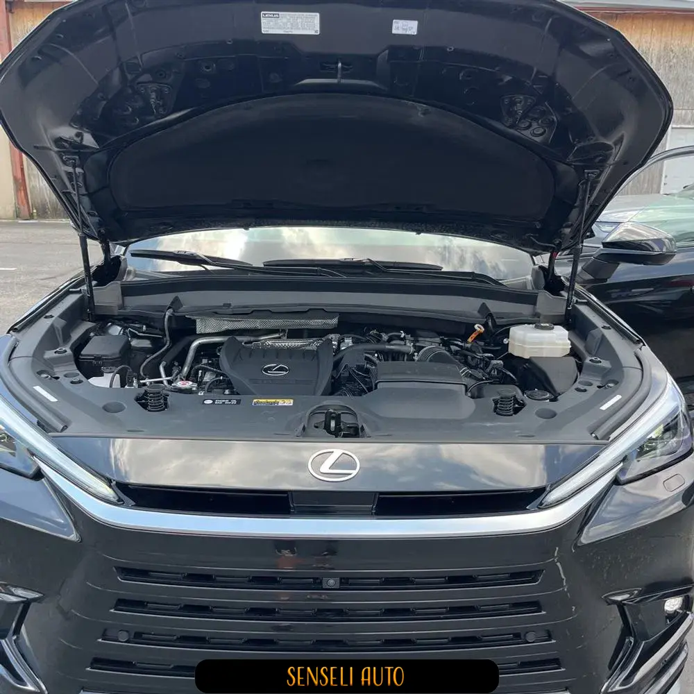 2024 Lexus TX 500h F SPORT Performance Premium