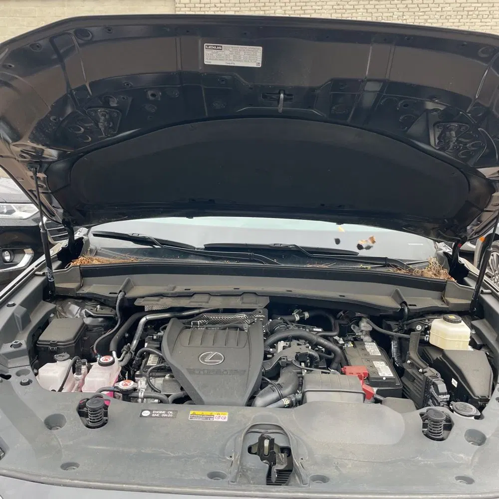 2024 Lexus TX 350 Premium