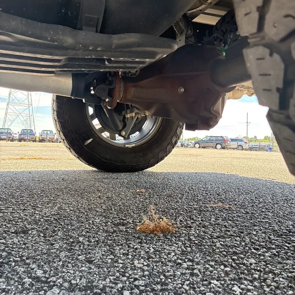 2021 Ford F-150 Tremor