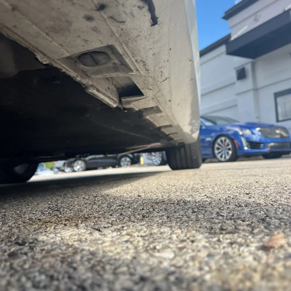 2023 Audi S5 Premium Plus