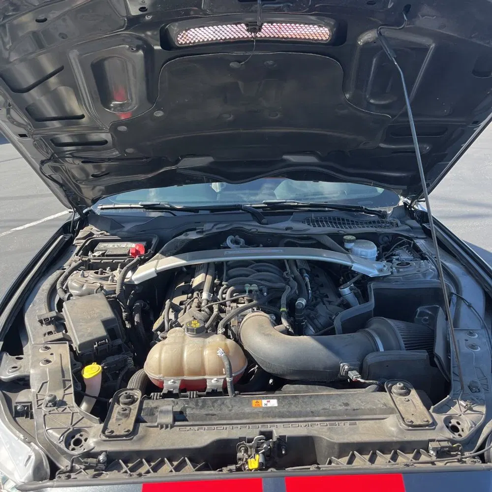 2019 Ford Mustang Shelby GT350