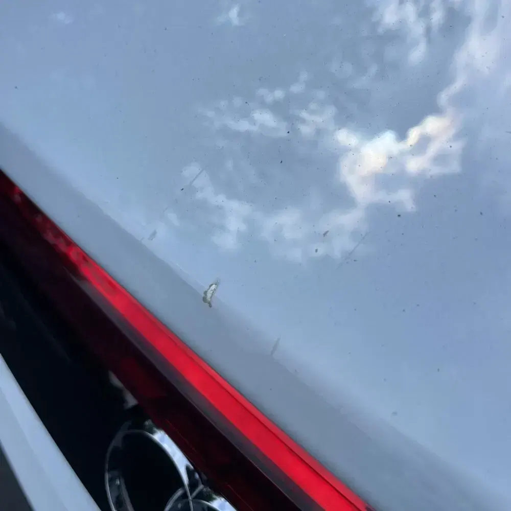 2023 Audi Q8 Premium Plus 55 TFSI