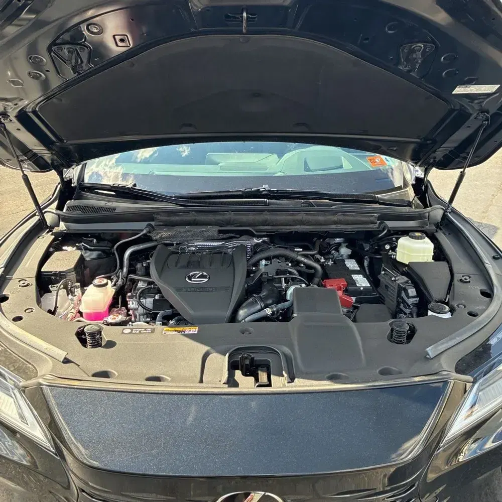 2024 Lexus RX 350 Luxury