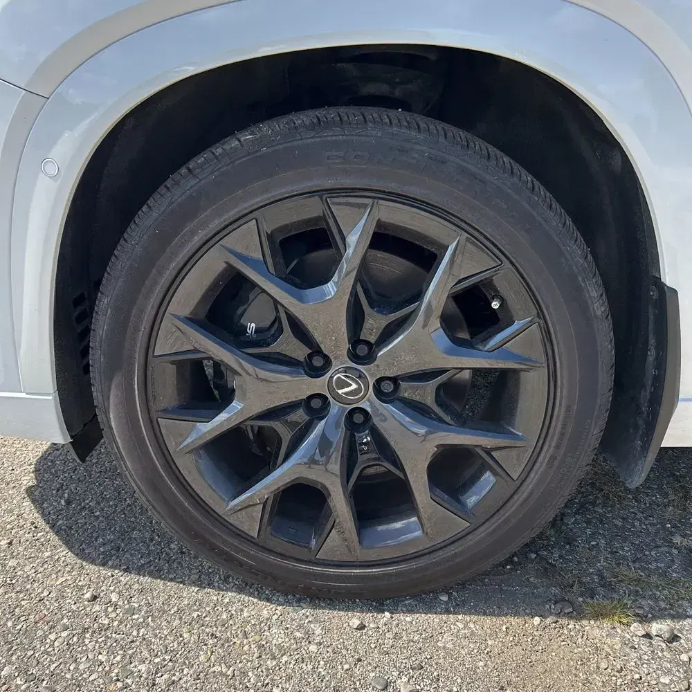 2024 Lexus TX-Series TX500H F Sport
