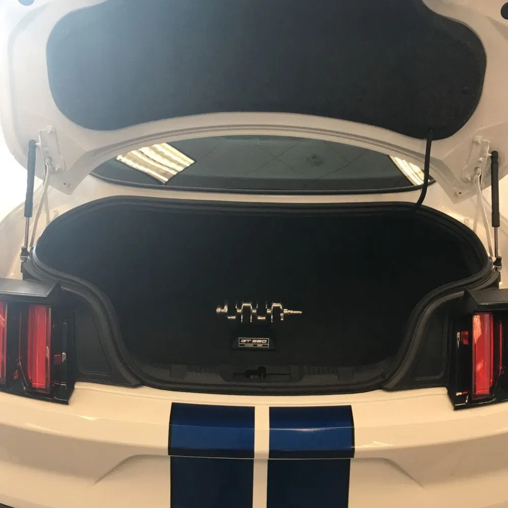 2018 Ford Mustang Shelby GT350