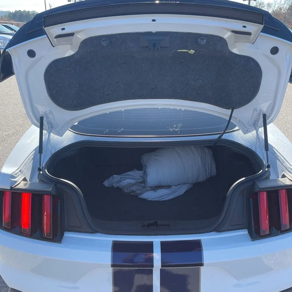 2019 Ford Mustang Shelby GT350