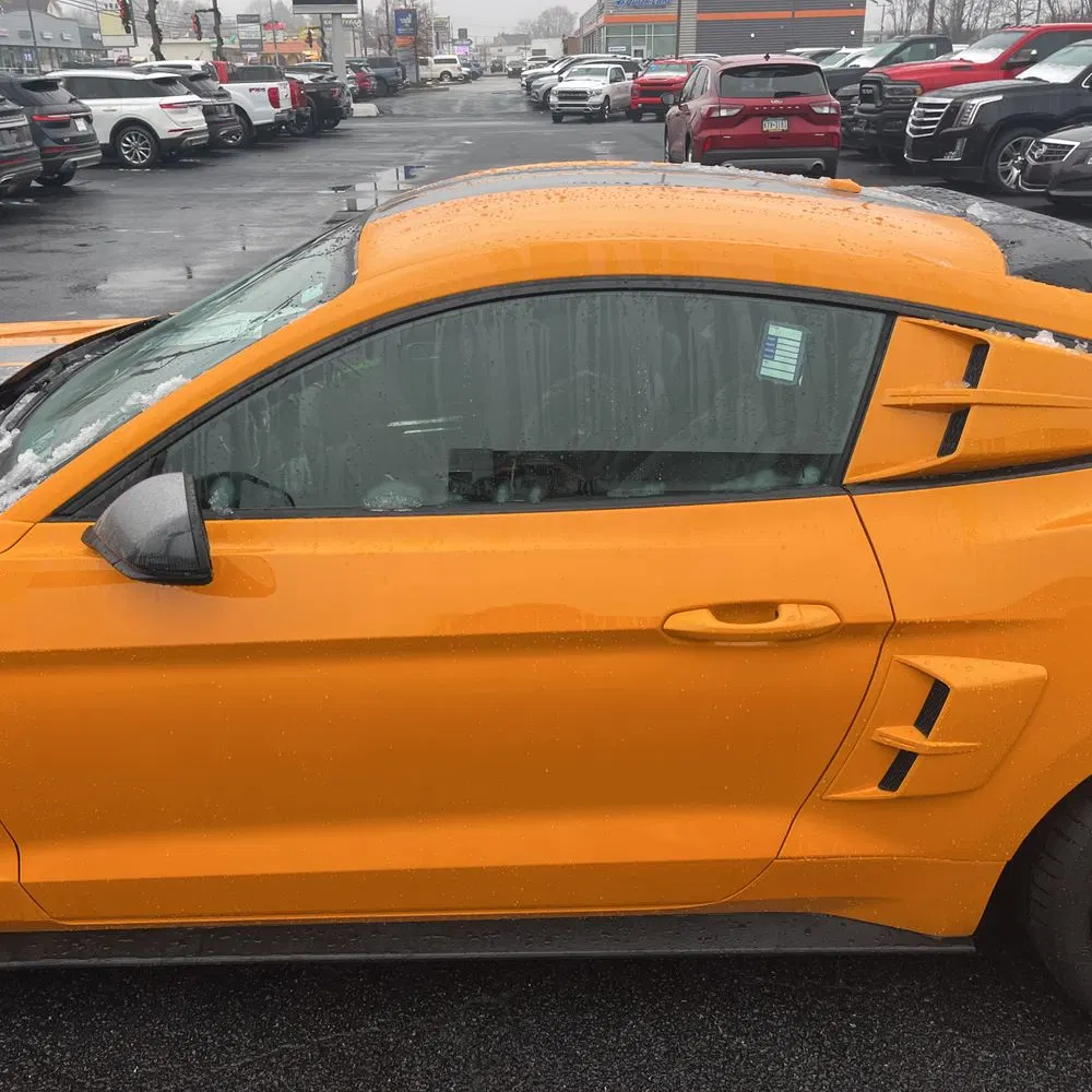2019 Ford Mustang Shelby GT350