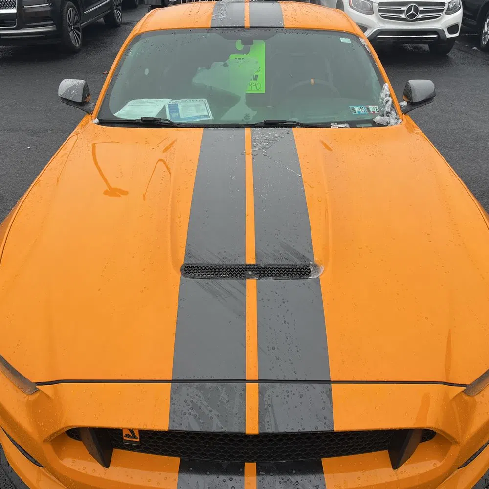 2019 Ford Mustang Shelby GT350