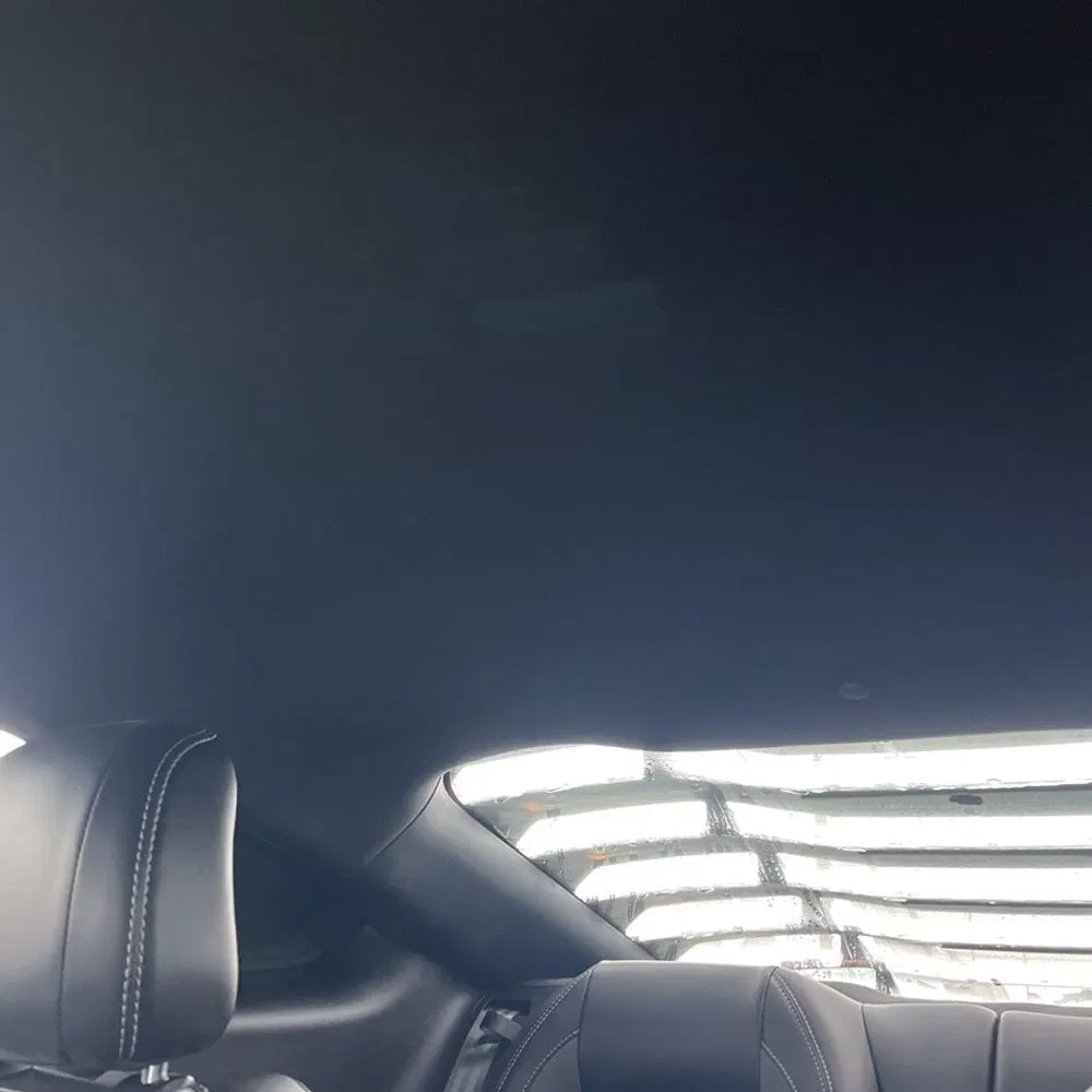 2019 Ford Mustang Shelby GT350