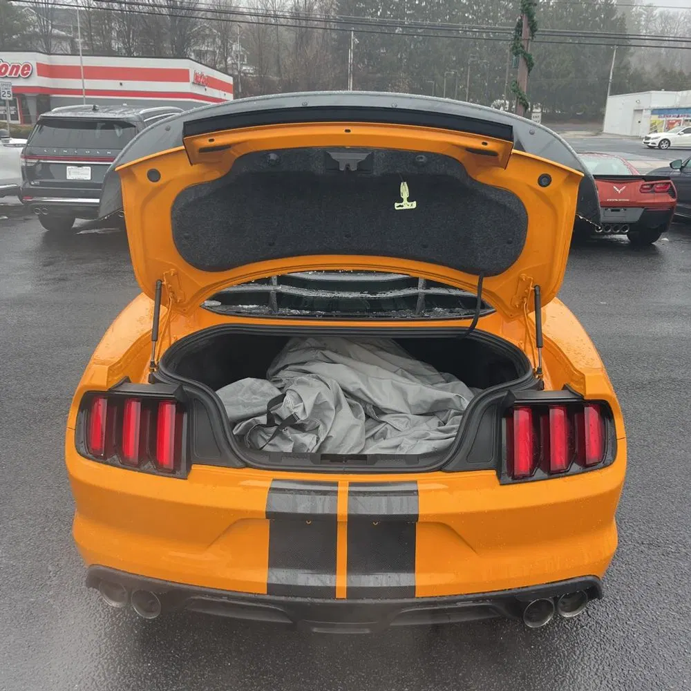 2019 Ford Mustang Shelby GT350