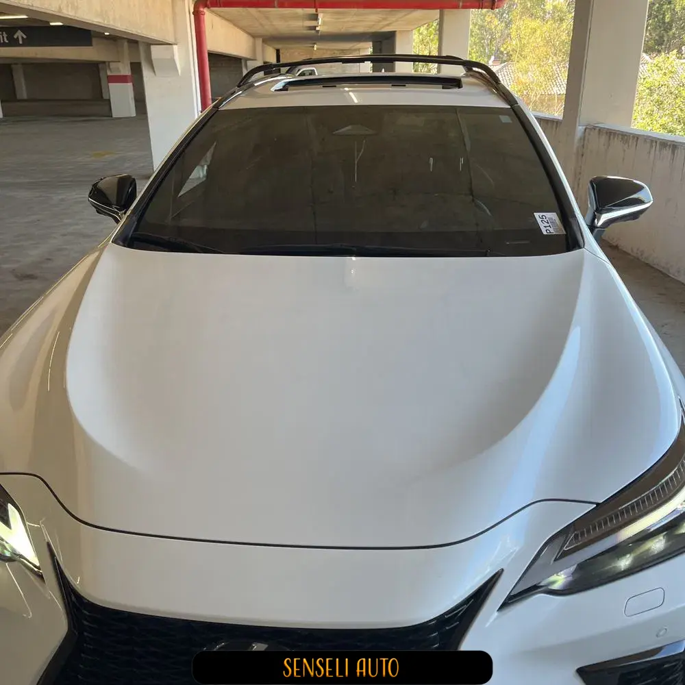 2024 Lexus NX 450h+ F SPORT Handling