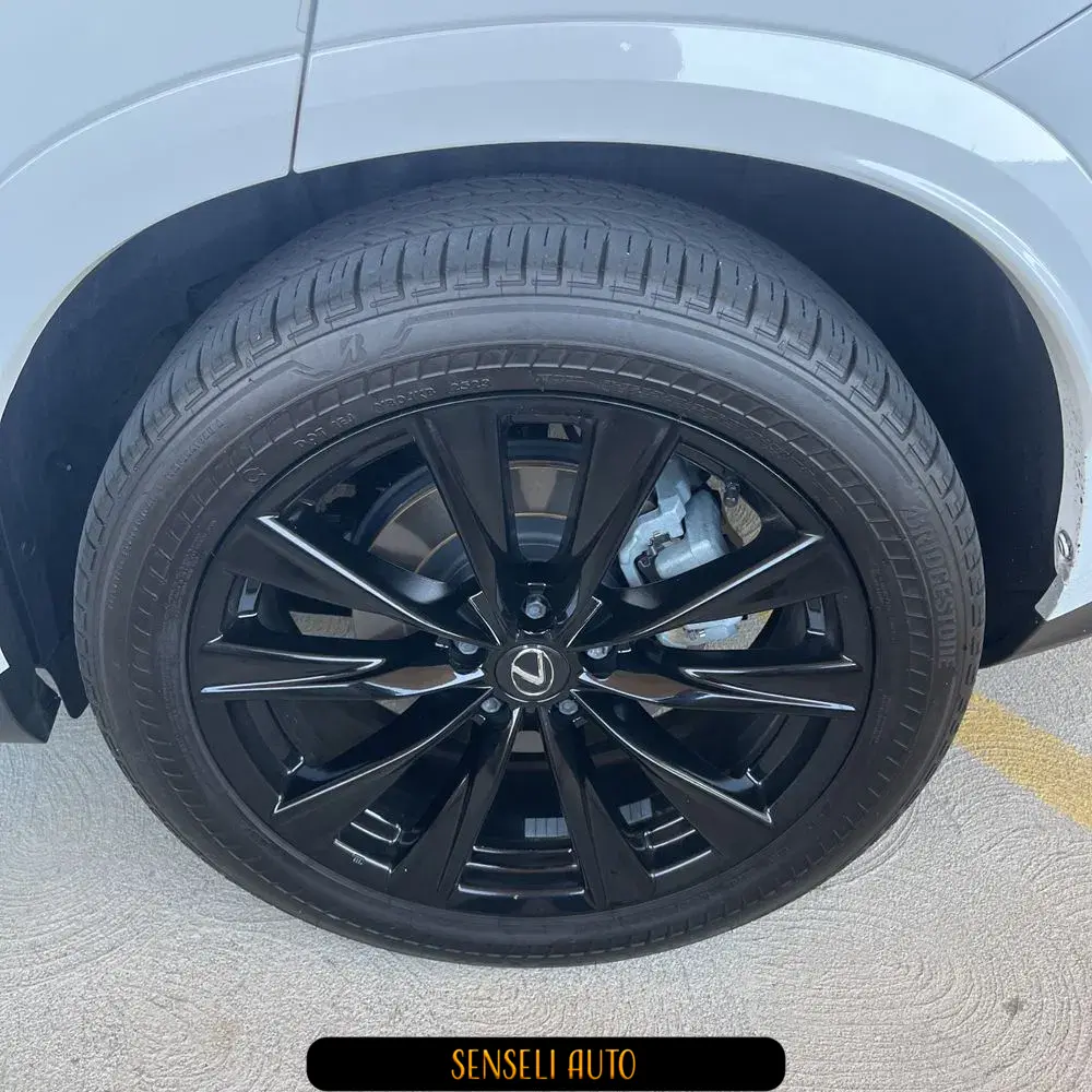 2024 Lexus NX 450h+ F SPORT Handling