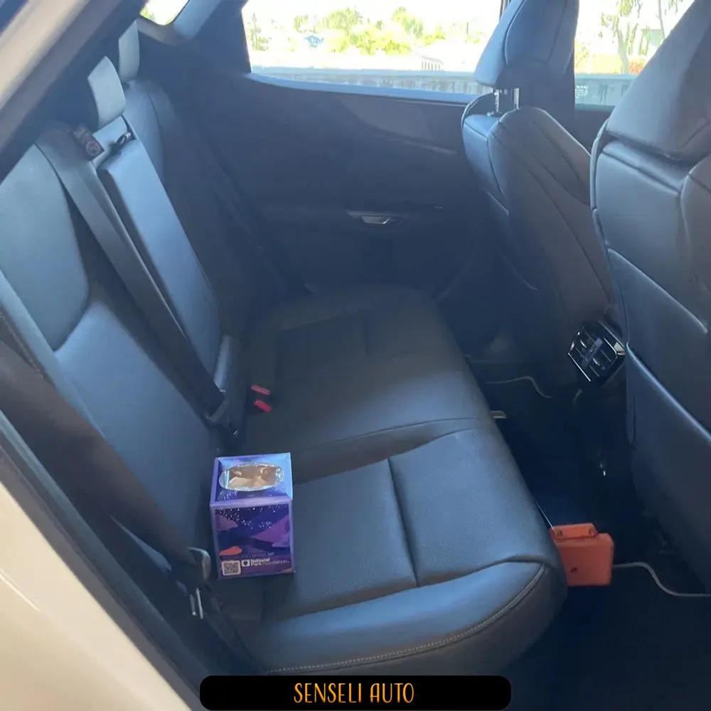 2024 Lexus NX 450h+ F SPORT Handling