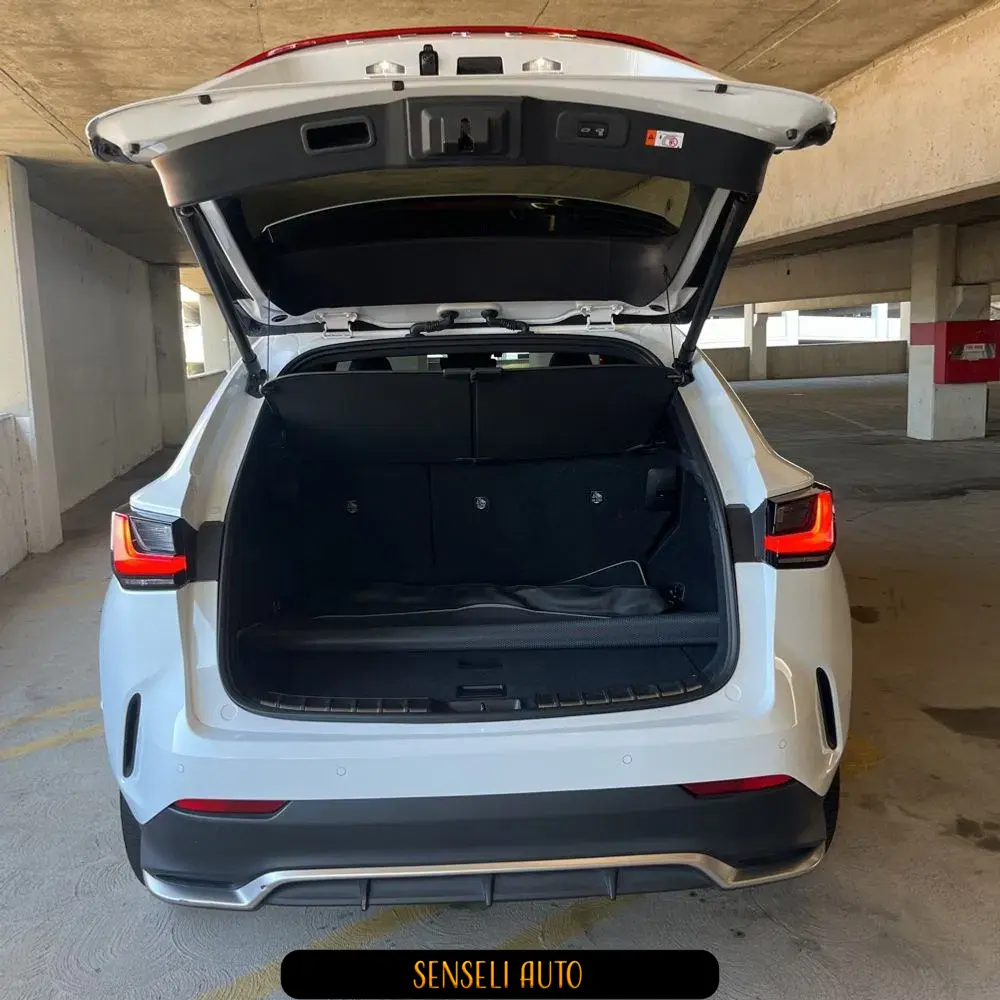 2024 Lexus NX 450h+ F SPORT Handling