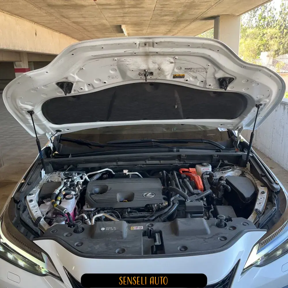 2024 Lexus NX 450h+ F SPORT Handling