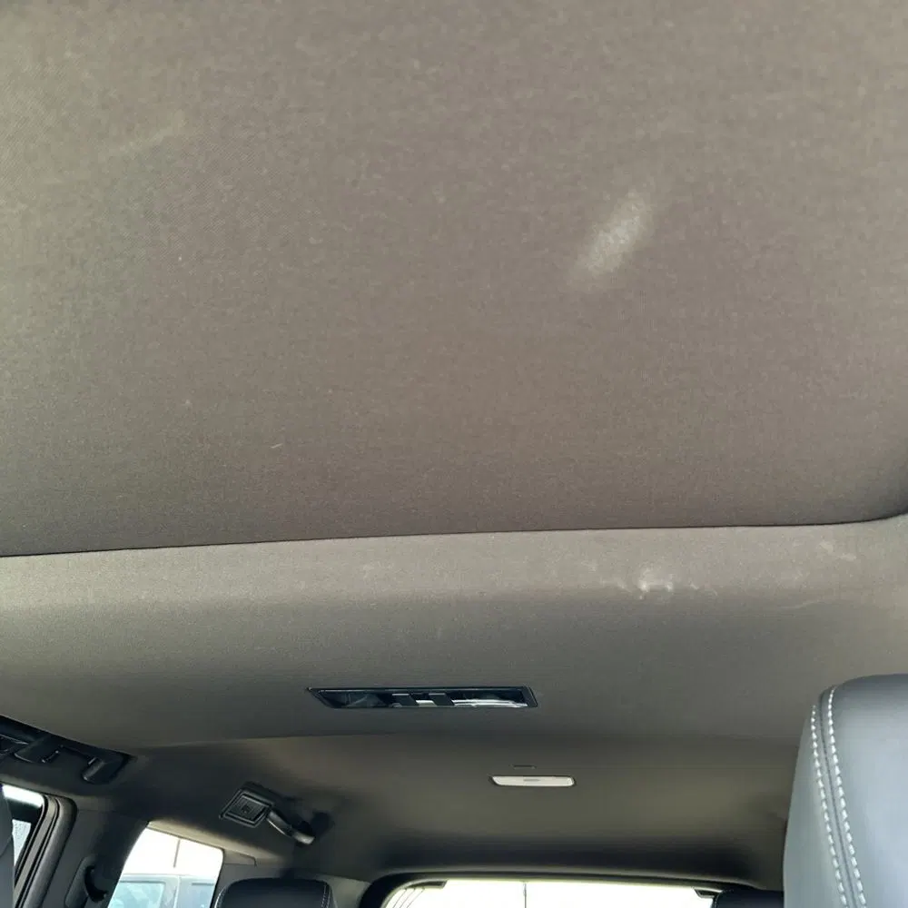 2024 Lexus GX 550 Luxury