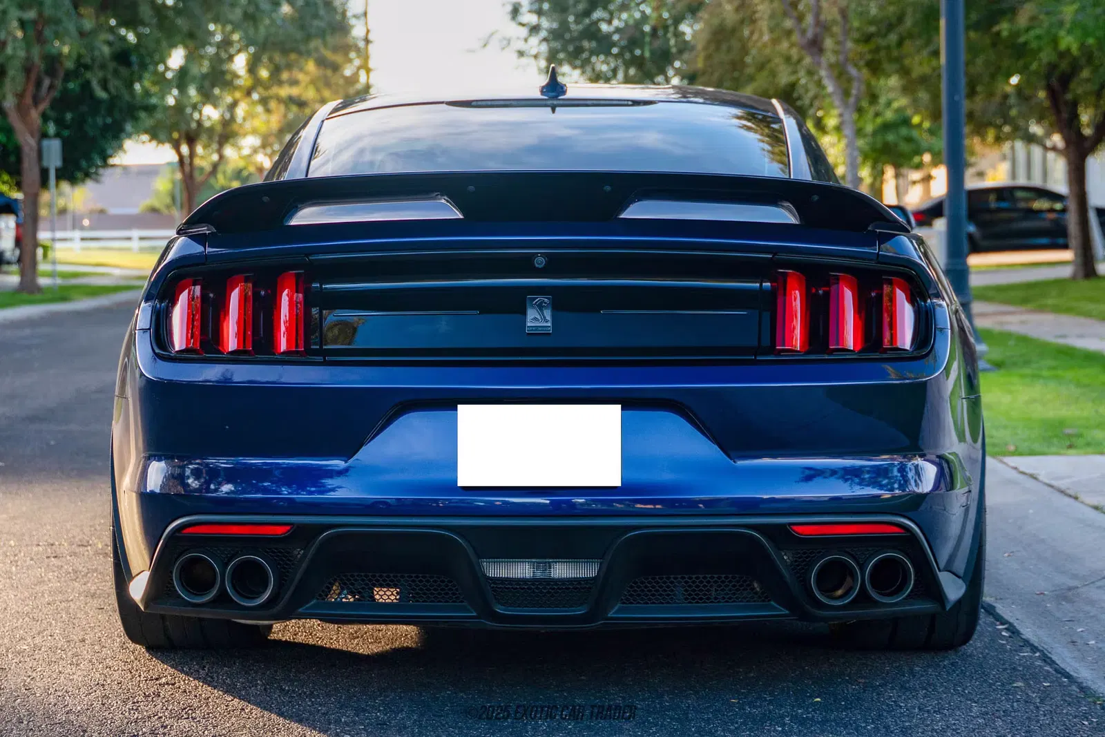 2020 Ford Mustang Shelby GT350