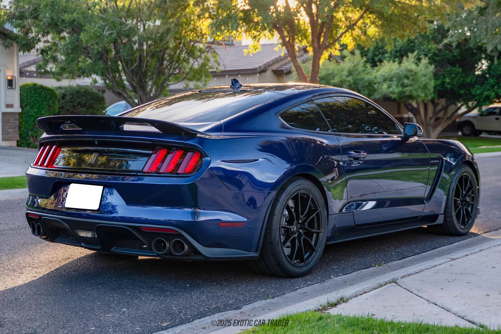 2020 Ford Mustang Shelby GT350
