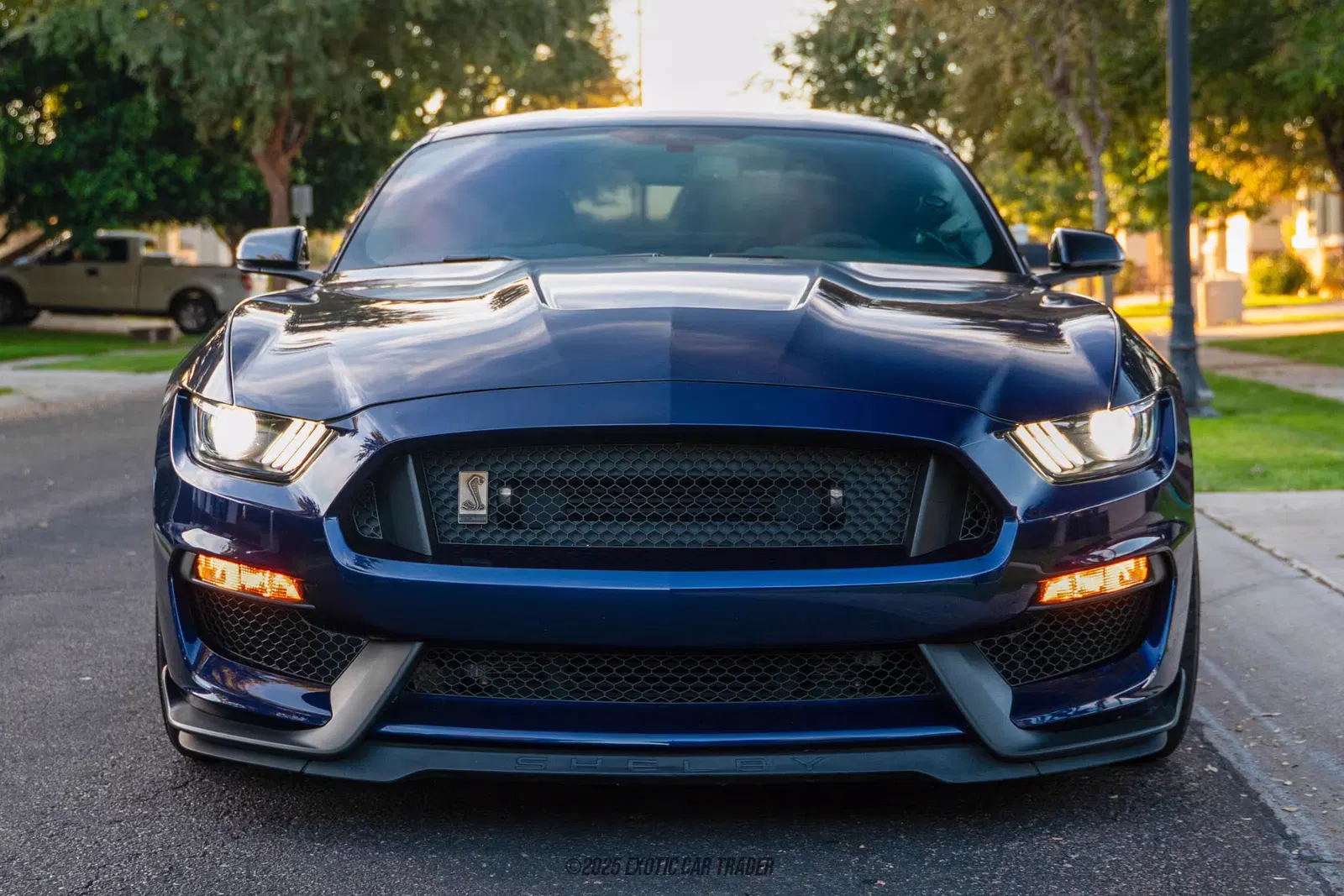2020 Ford Mustang Shelby GT350