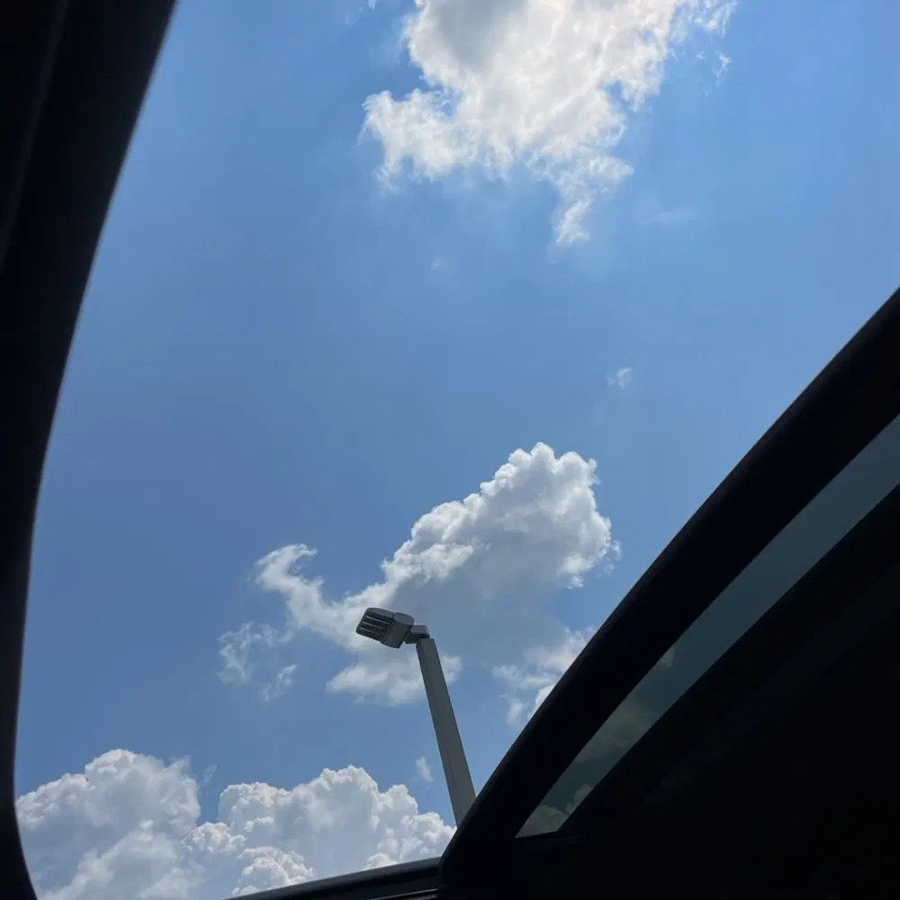 2025 Ford F-250 Super Duty Platinum