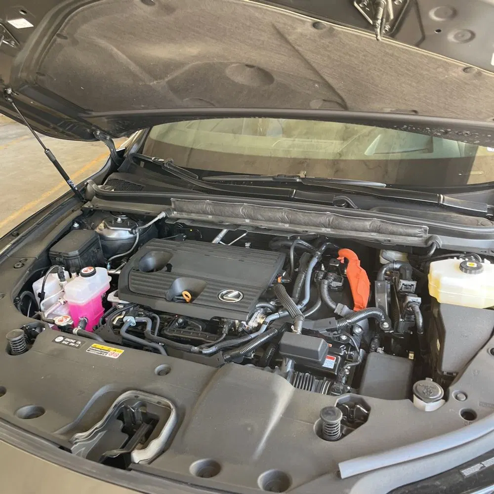 2025 Lexus RX 350h Premium+