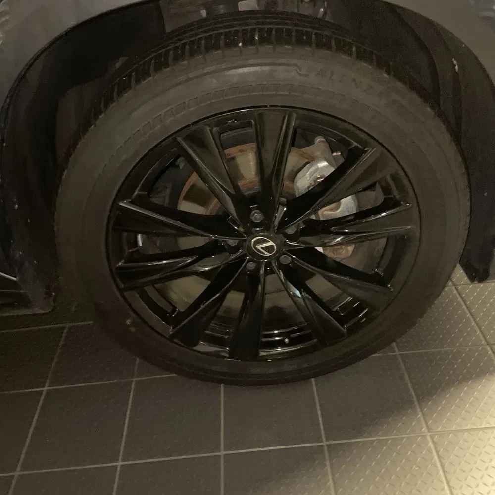 2024 Lexus NX 450h+ F SPORT Handling
