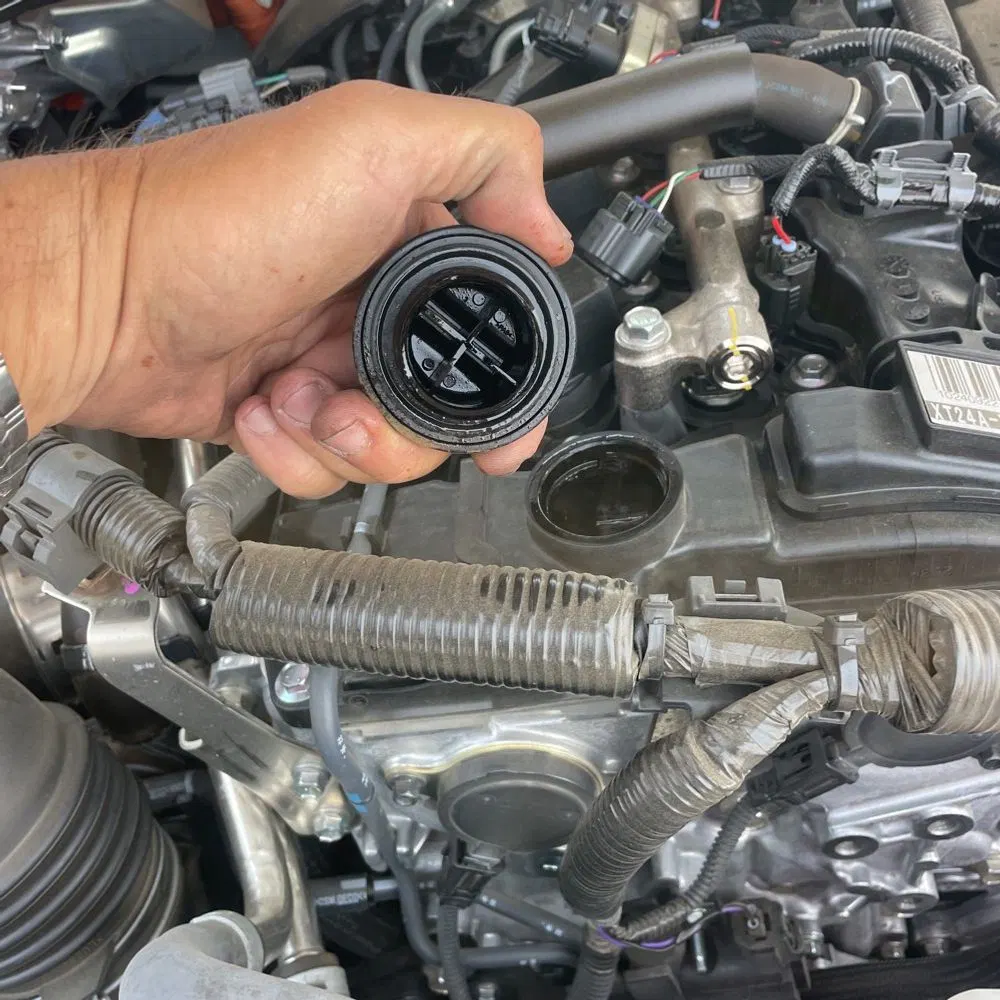 2024 Toyota Tacoma TRD Off-Road HV