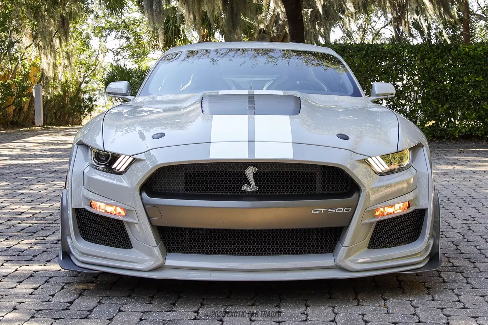 2020 Ford Mustang Shelby GT500