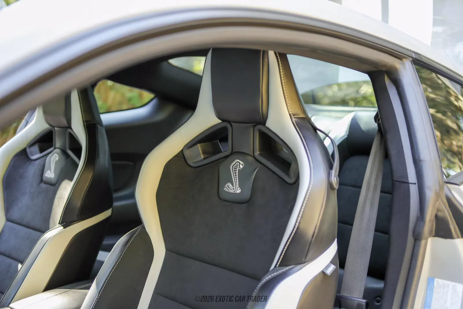 2020 Ford Mustang Shelby GT500