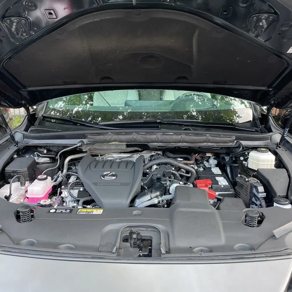 2024 Lexus RX 350 Premium+