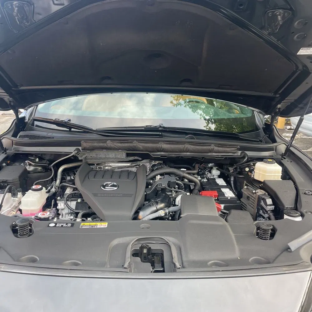 2024 Lexus RX 350 Premium+