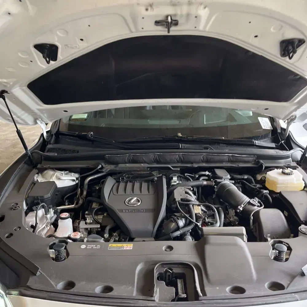 2024 Lexus RX 500h F SPORT Performance