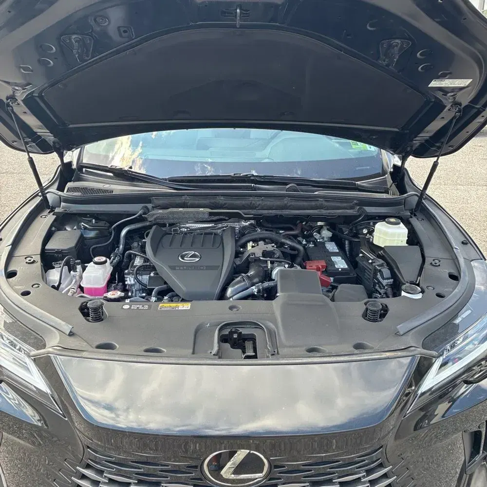 2024 Lexus RX 350 Premium