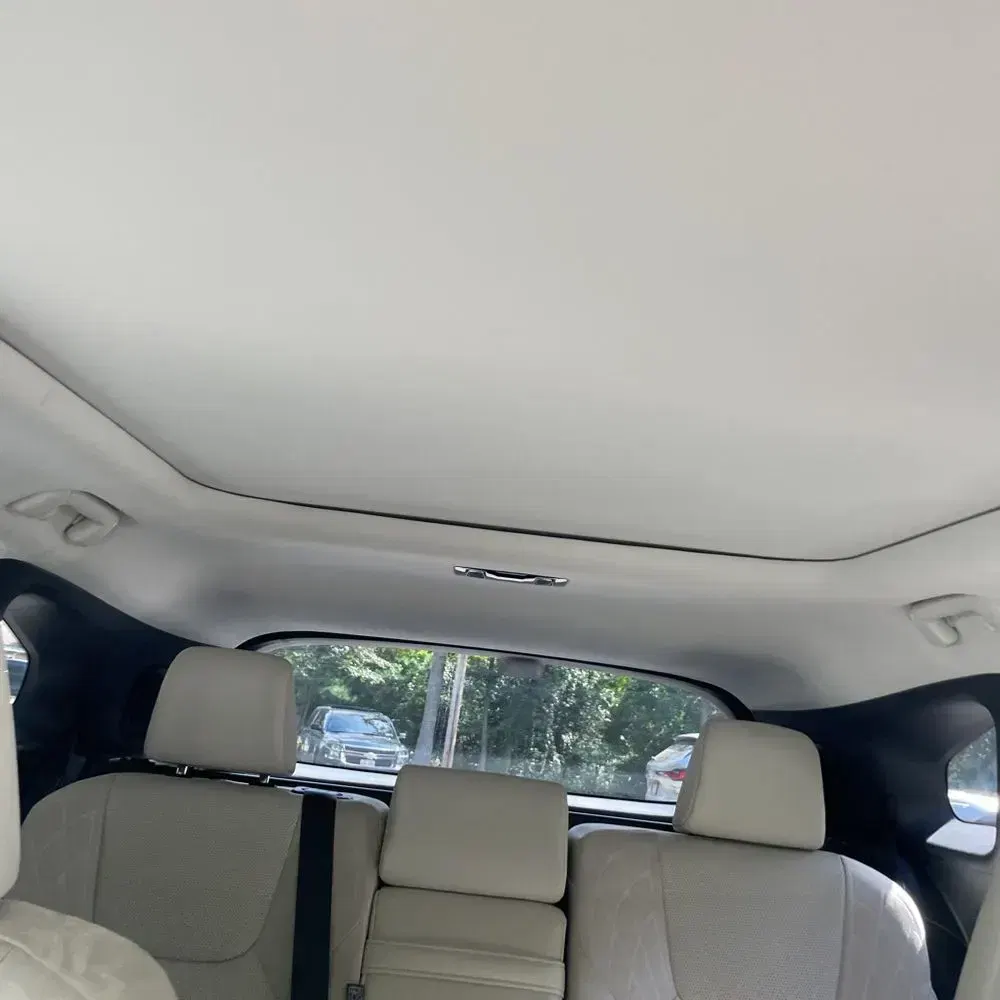 2023 Lexus RX 350h Luxury